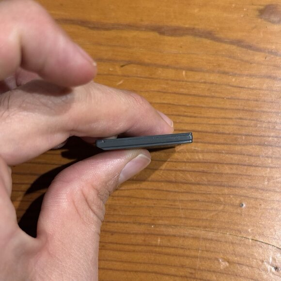 Nintendogs: Dalmatian & Friends (Nintendo DS, 2006) Tested Watch Video - Picture 5 of 6